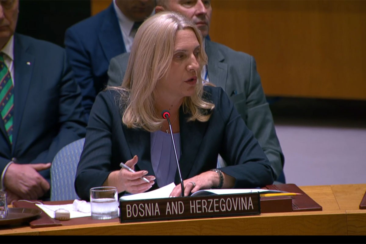 Cvijanović u SB UN: Krizu nije izazvala Srpska, nego Šmit