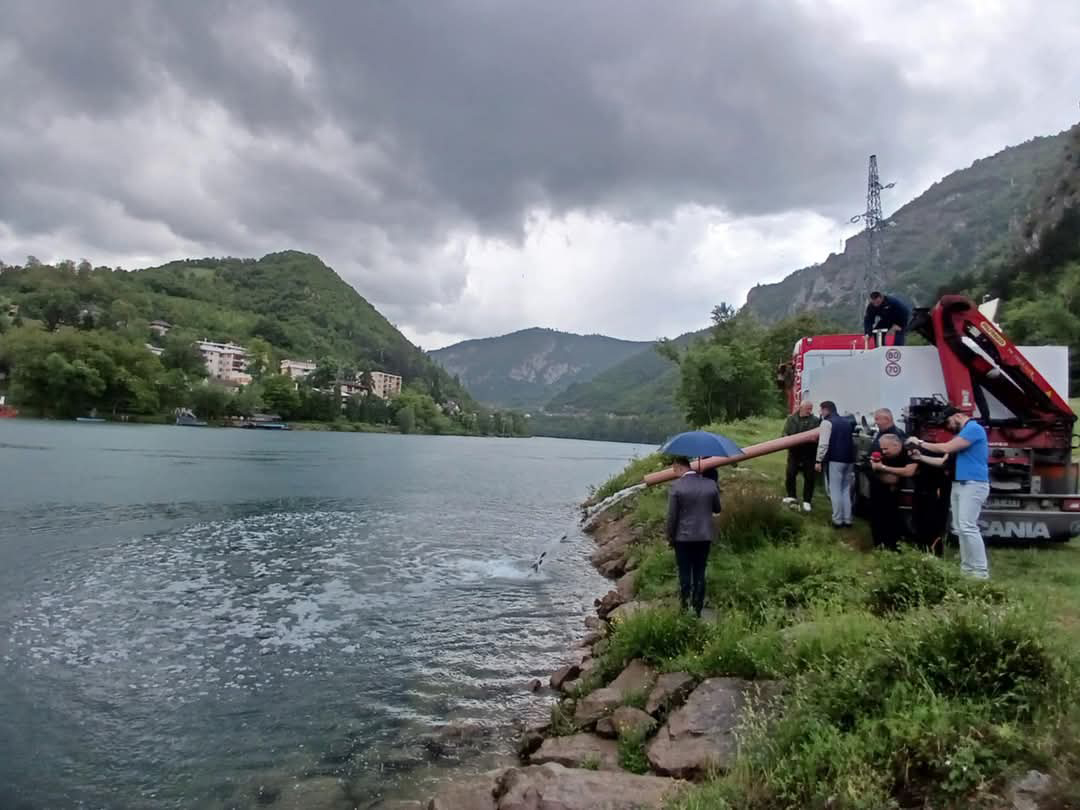 Drina kod Višegrada poribljena šaranom i pastrmkom