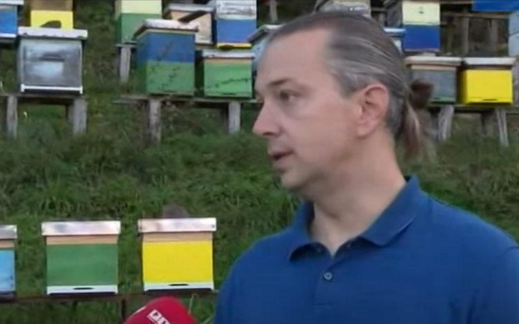 Marković: Veliki pritasak uvezenog jeftinog meda na domaće pčelare