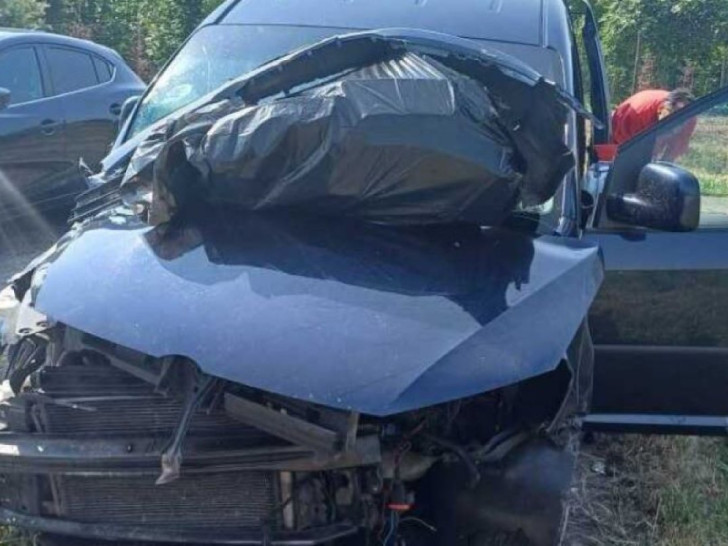 Kombi pun životinja iz BiH imao udes u Italiji
