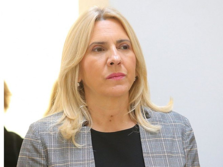 Cvijanović: BiH je potreban veliki reset