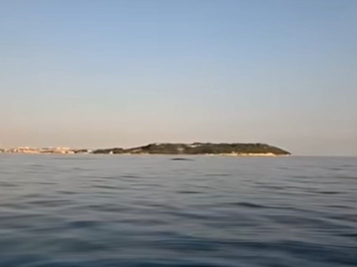 Kod Pule uočen kit (VIDEO)
