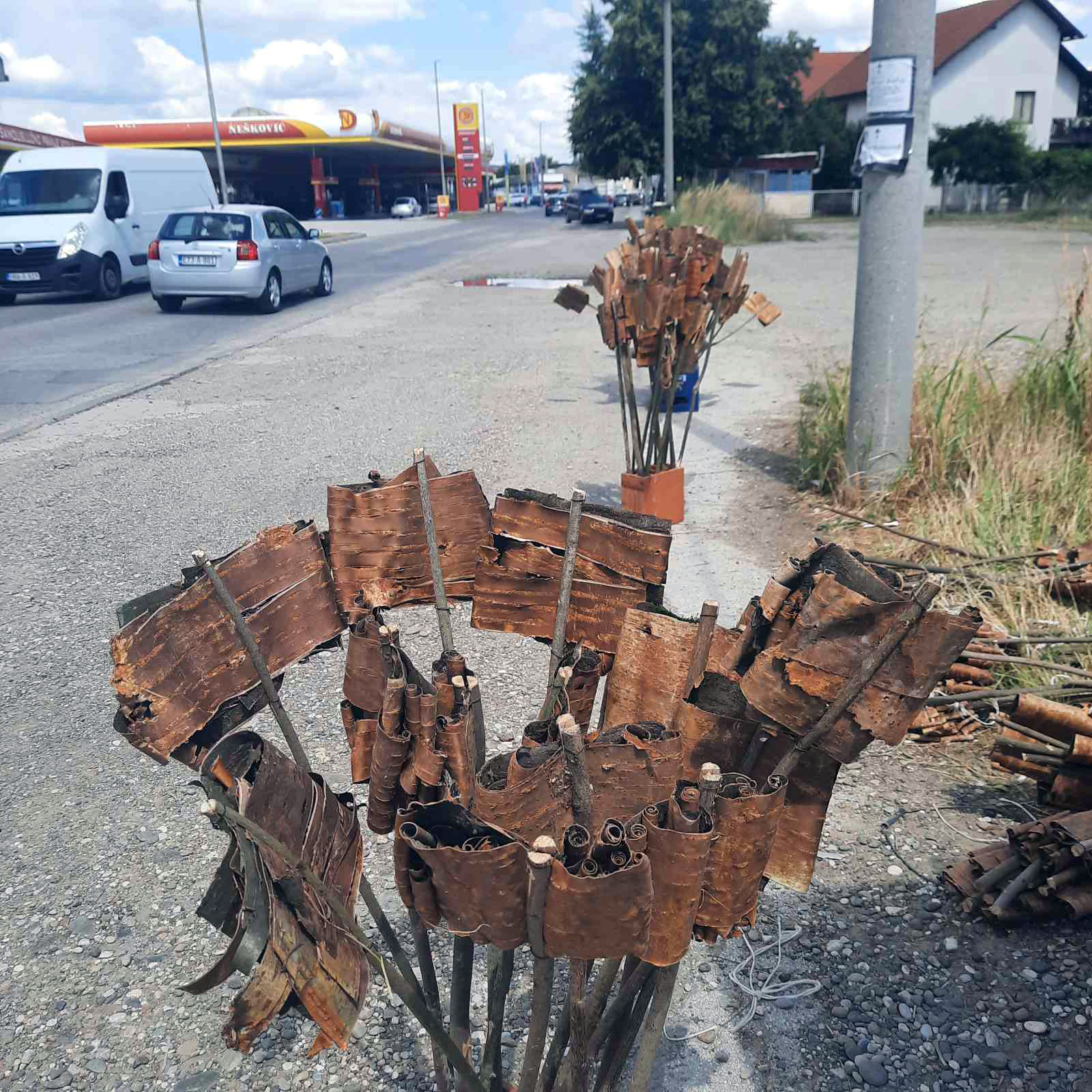 Mali "prodavci" u Bijeljini zadovoljni prodajom, večeras paljenje lila