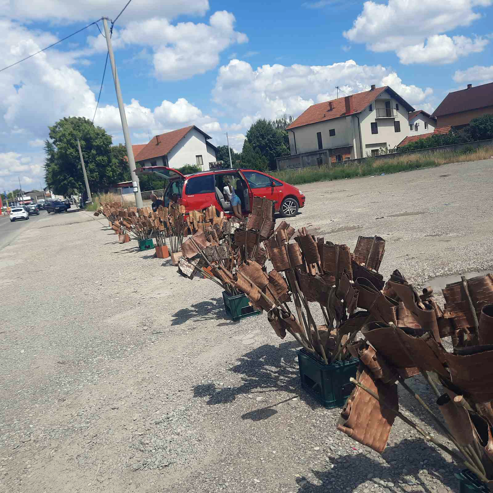 Mali "prodavci" u Bijeljini zadovoljni prodajom, večeras paljenje lila