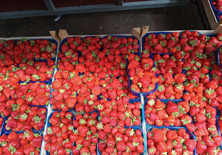 Zabranjen uvoz zamrznutih jagoda iz Egipta i sladoleda sa pistaćima iz Turske