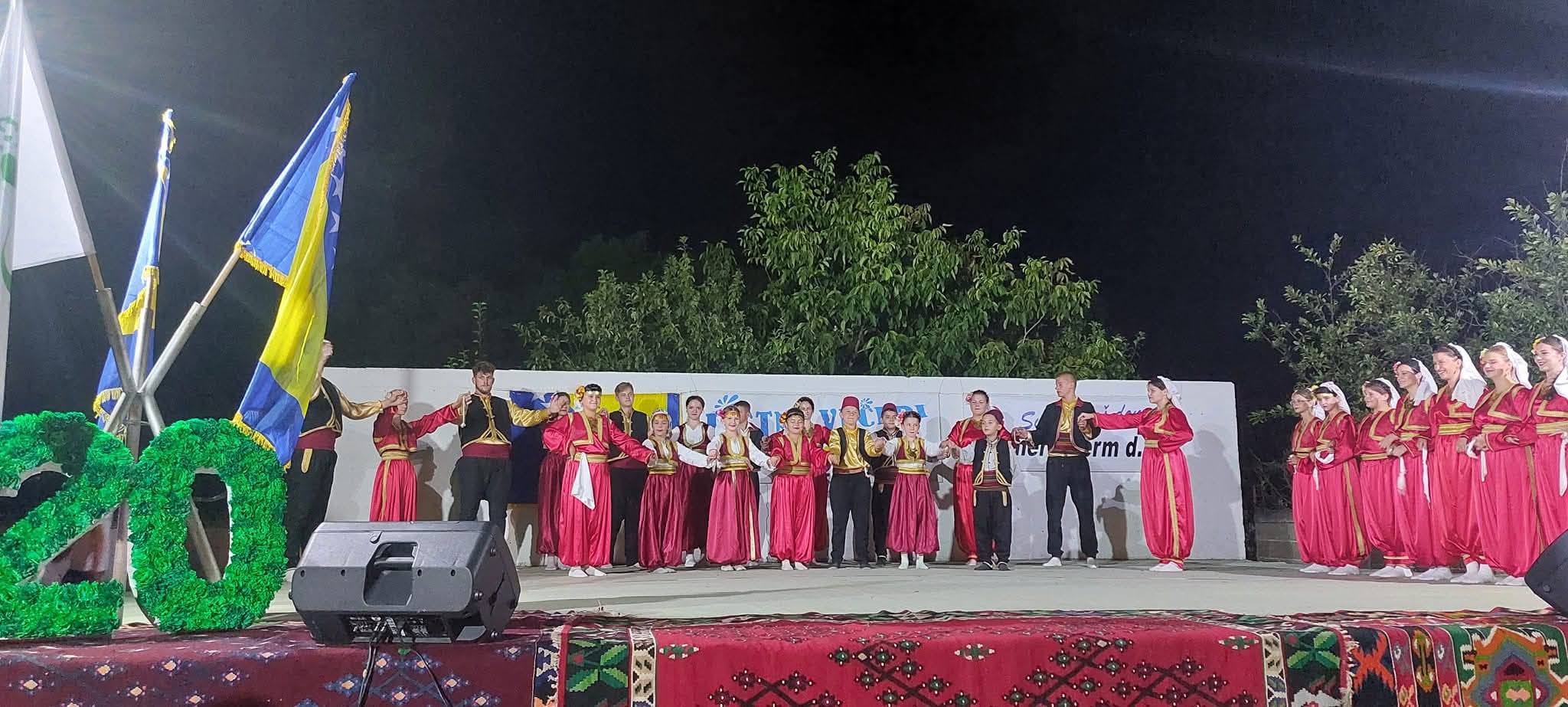 Tradicionalna manifestacija – 21. LJETNJE VEČERI U JANJI