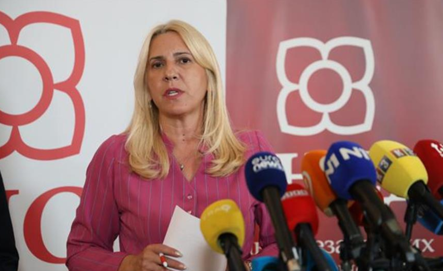 Cvijanović: Vlada nacionalnog jedinstva je formula za prevazilaženje složene situacije