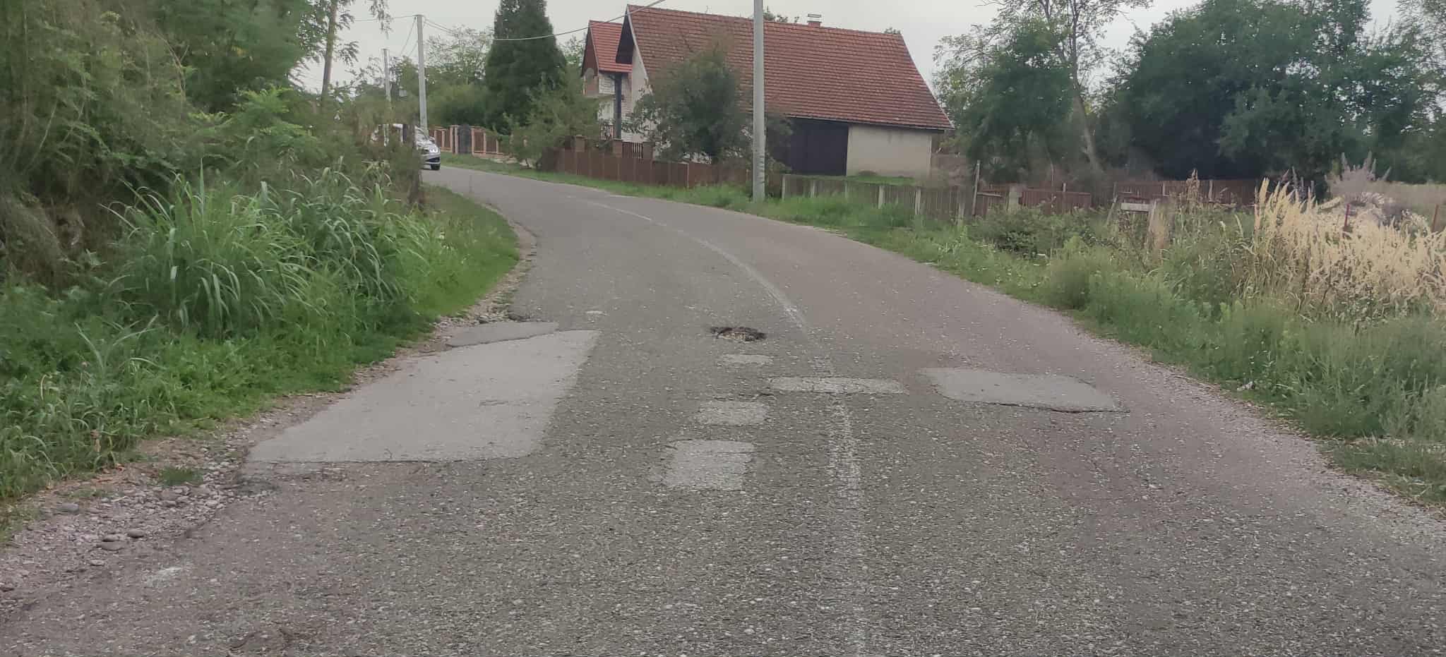 Mještani MZ Glogovac upozoravaju: Ambrozija i šiblje pored puta, na kolovozu rupe – djeca u ponedjeljak kreću u školu