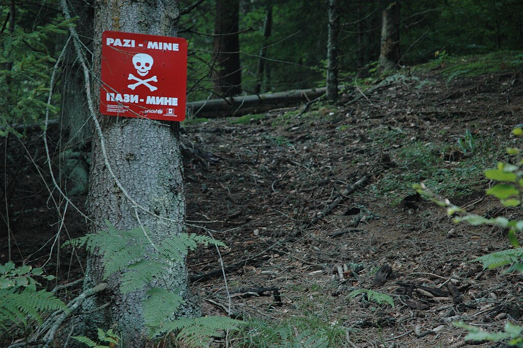 Potrošeno gotovo 900 miliona KM, a mine i dalje ubijaju