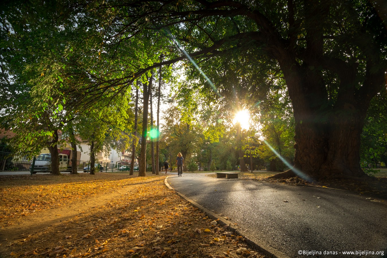 Bijeljina: Jutro hladno, tokom dana sunčano 