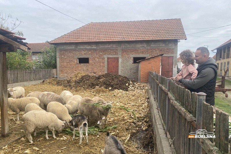 I OVCE I NOVCE Profesor fizičkog iz Popova kod Bijeljine stvorio uspješan biznis