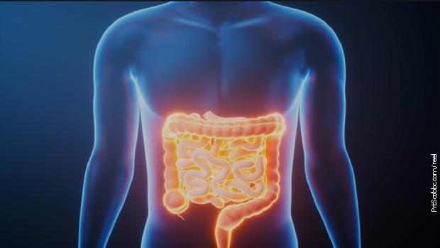 Kako sićušni čip daje informacije o stanju naših creva