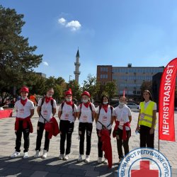 Bronza za Bijeljinu: Klub mladih Crvenog krsta treći u BiH