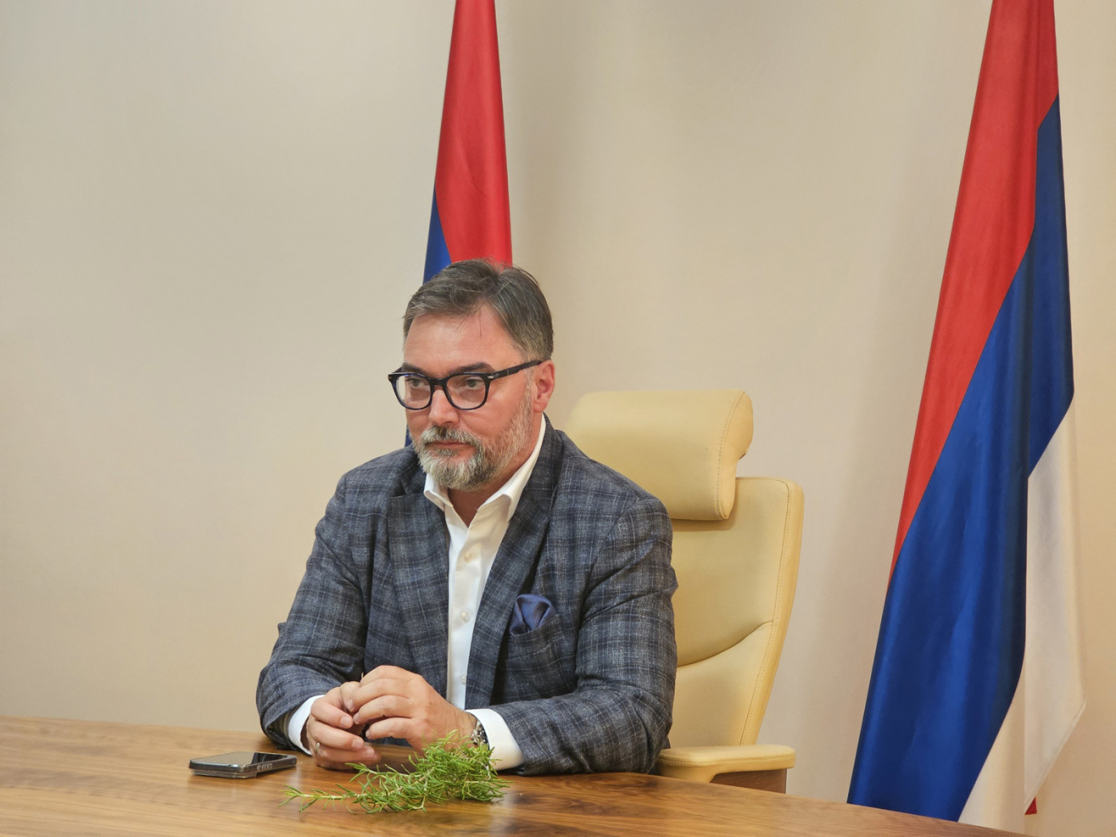 Košarac: Usvojena odluka o glasanju državljana Srbije u BiH