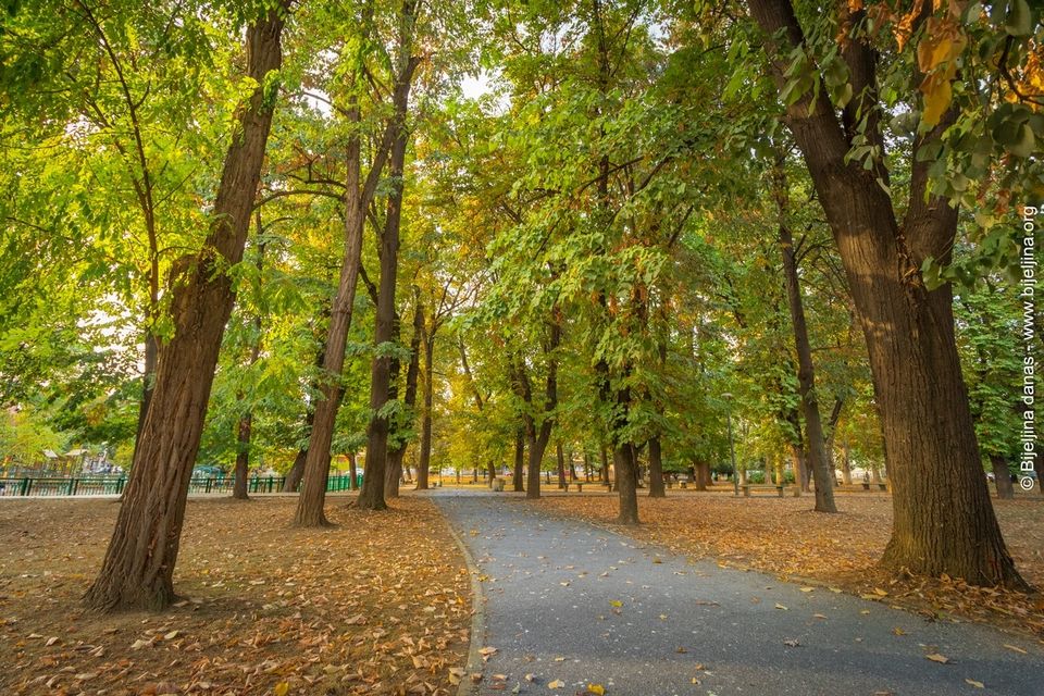 Sutra pretežno sunčano, temperatura do 19 stepeni