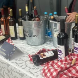 U Bijeljini održan šesti „Salon vina“: Svoje proizvode predstavilo 30 izlagača iz četiri zemlje