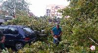 Nevrijeme pogodilo Bijeljinu, snažan vjetar obarao drveće (FOTO)