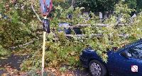 Nevrijeme pogodilo Bijeljinu, snažan vjetar obarao drveće (FOTO)