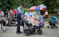 FOTO Park ispunjen bebama - Izabrano tročlano predsjedništvo!