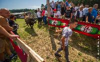 FOTO Održana sedma korida u Bijeljini, Cvjetko bolji od Lozonje