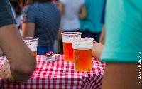 FOTO Van Gogh oduvao publiku druge večeri Beer festa
