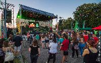 FOTO Van Gogh oduvao publiku druge večeri Beer festa