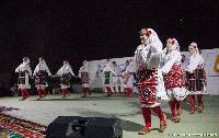 FOTO Ljetne večeri u Janji - praznik kulture i gastronomije