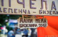 FOTO Dani meda, najslađa manifestacija Pantelinskih dana