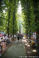 FOTO/VIDEO Zlatni kotlić Semberije  - takmičenje u kome su svi pobjednici