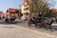 FOTO Otvoren Mitrovdanski vašar 