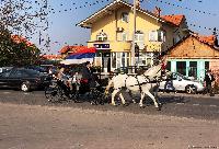 FOTO Otvoren Mitrovdanski vašar 