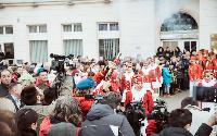 FOTO Gradski trg u znaku hercegnovske mimoze