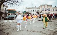 FOTO Gradski trg u znaku hercegnovske mimoze