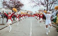 FOTO Gradski trg u znaku hercegnovske mimoze