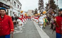 FOTO Gradski trg u znaku hercegnovske mimoze