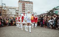 FOTO Gradski trg u znaku hercegnovske mimoze