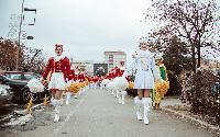 FOTO Gradski trg u znaku hercegnovske mimoze