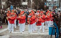 FOTO Gradski trg u znaku hercegnovske mimoze