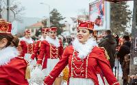FOTO Gradski trg u znaku hercegnovske mimoze