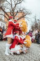 FOTO Gradski trg u znaku hercegnovske mimoze