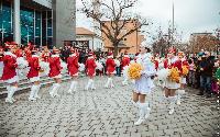 FOTO Gradski trg u znaku hercegnovske mimoze