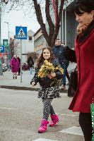 FOTO Gradski trg u znaku hercegnovske mimoze