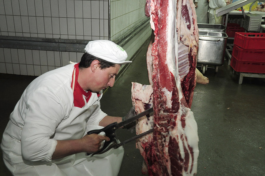 Proizvodnja mesa posrće pod teretom prekomjernog uvoza