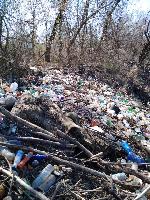 FOTO Sa obale Save izvezen kamion smeća