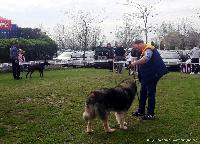 FOTO Vlasnici pokazali svoje četvoronožne ljubimce