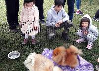 FOTO Vlasnici pokazali svoje četvoronožne ljubimce