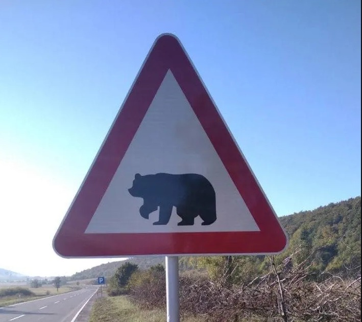 U BiH postavljen prvi znak "medvjed na putu - vozači, oprez"