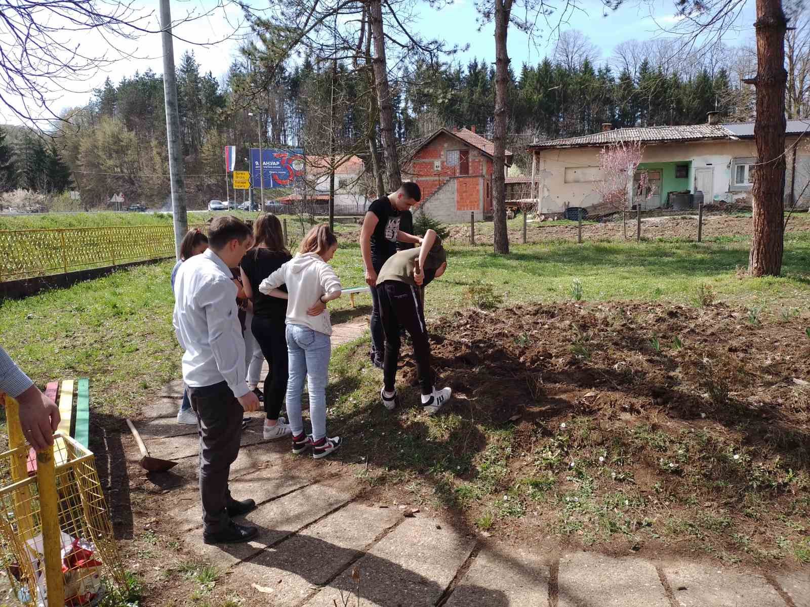 FOTO Ruže Majevice ukrasile školsko dvorište u Priboju