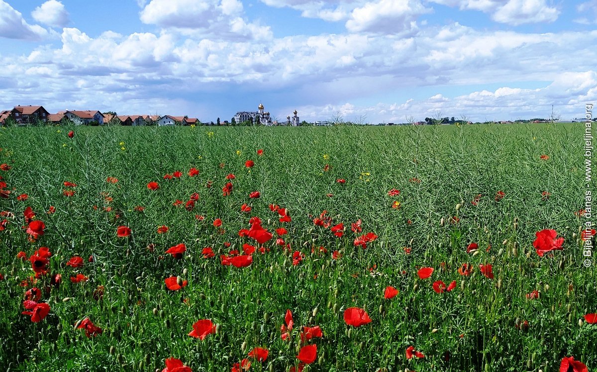 Bijeljina: Sunčano i toplo, krajem dana moguća kiša