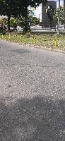 Dokle će nam "orati" ulice?